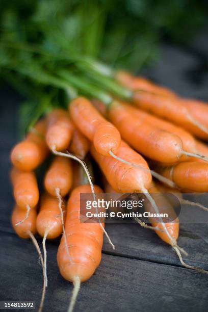 homegrown carrots - cynthia classen ストックフォトと画像