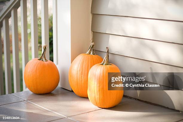 three pumpkins, mottled light - cynthia classen ストックフォトと画像