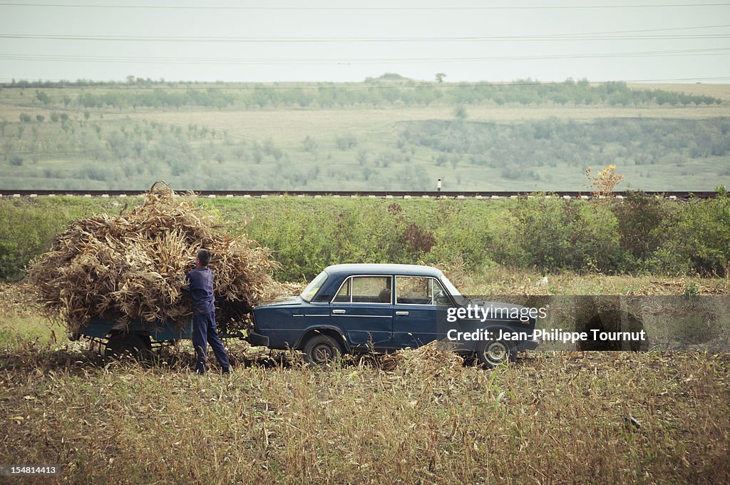 Collecting Corn with a Lada, Moldova