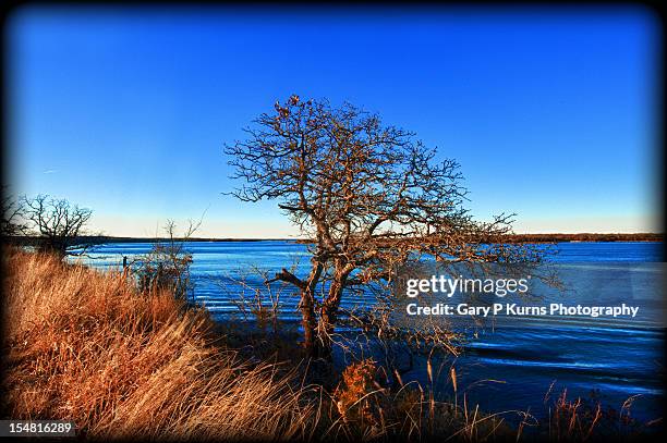 lake murray state park, oklahoma - ardmore oklahoma stockfoto's en -beelden