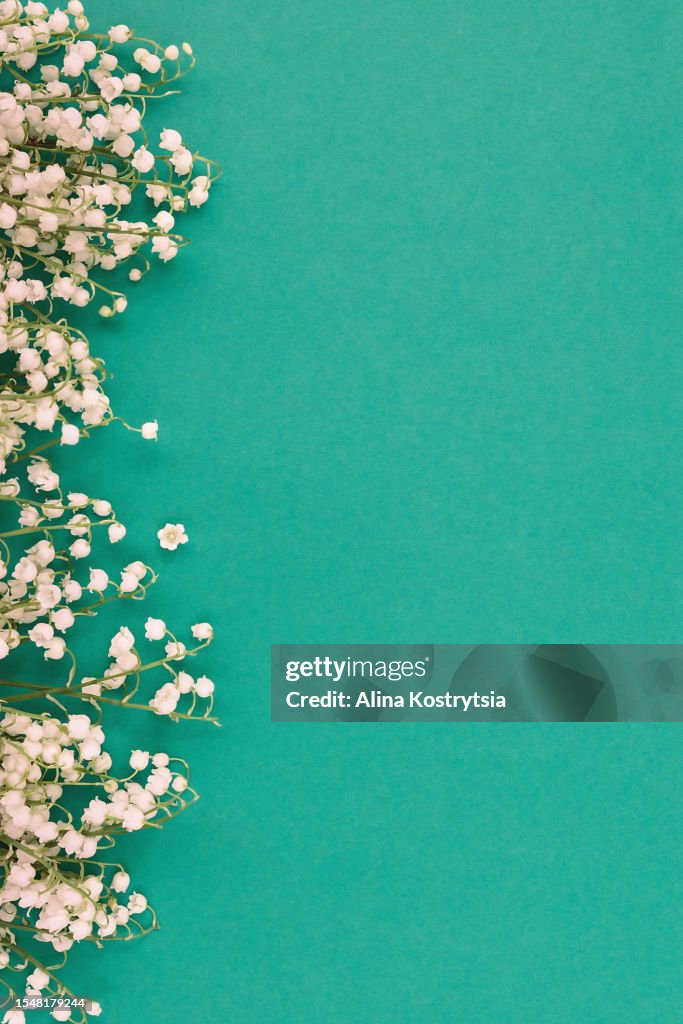 Lily of the valley flowers from one side on green background