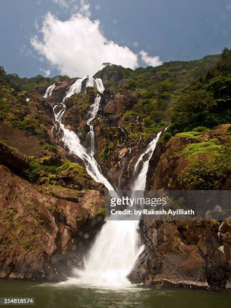 12 Dudhsagar Falls Photos and Premium High Res Pictures - Getty Images
