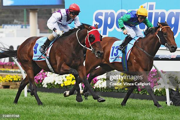 Jockey Glen Boss riding Ocean Park defeats Chris Munce riding All Too Hard in the Sportingbet Cox Plate during Cox Plate Day at Moonee Valley...