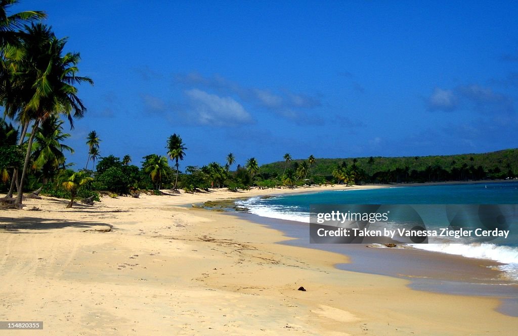 Sun Bay Beach