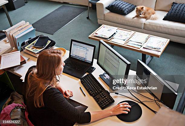 overview of woman working at office computer - telecommuting stock pictures, royalty-free photos & images
