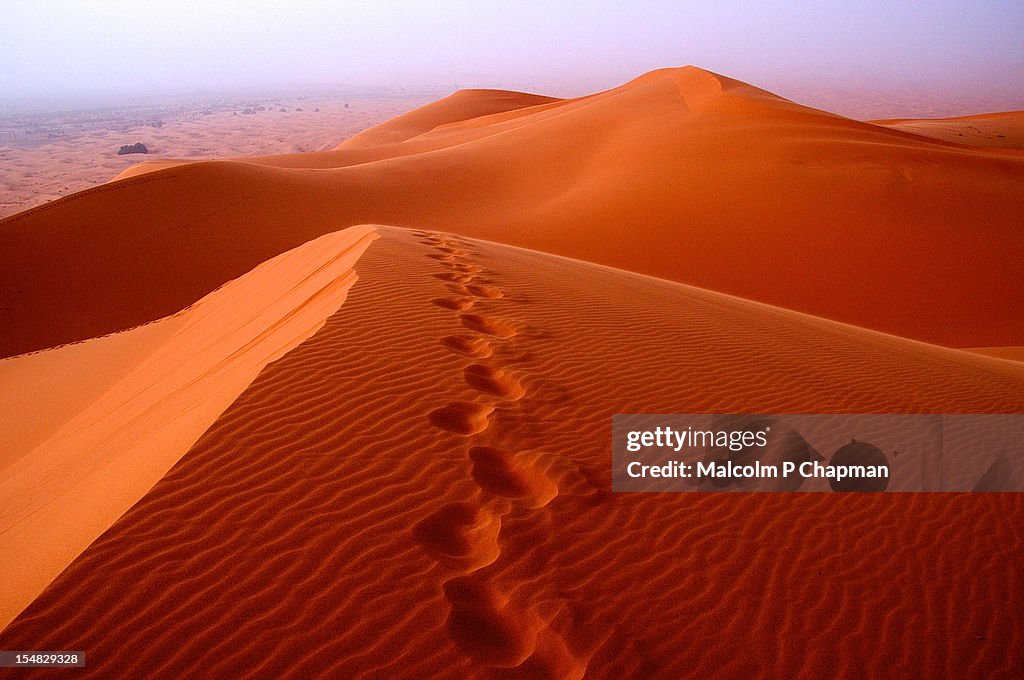 Prints in the desert sands, Merzouga dunes