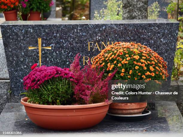close-up of a marble tomb with potted flowers and plants in paris, france - grafsteen stockfoto's en -beelden