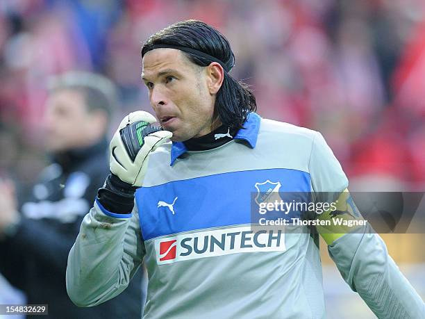 Goalkeeper Tim Wiese of Hoffenheim looks on after loosing the Bundesliga match between FSV Mainz 05 and TSG 1899 Hoffenheim at Coface Arena on...