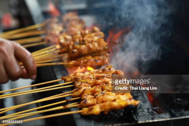 the popular malaysian street food, satay, is cooked on a flaming barbecue grill. - traditional malay food stock pictures, royalty-free photos & images