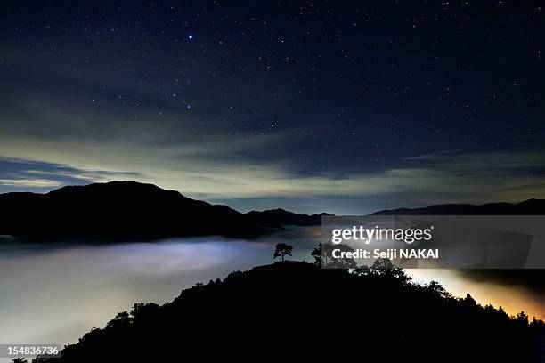 waiting for the sunrise - prefettura di hyogo foto e immagini stock