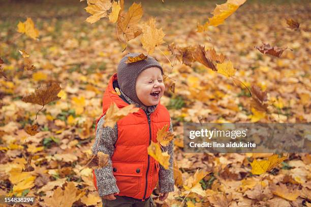 autumn joy - leaf blowing stock pictures, royalty-free photos & images