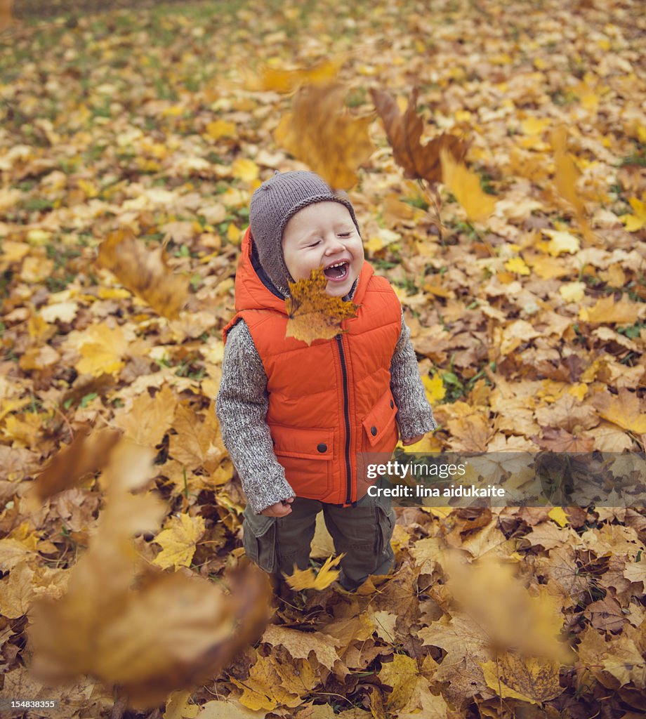 Autumn brings joy