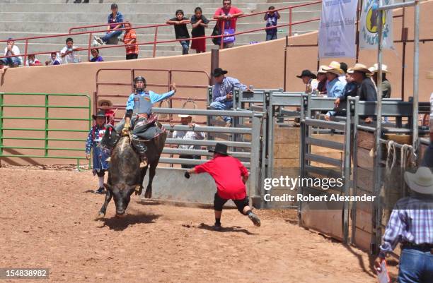 Indigneous Bull Rider 92 Native Bull Riding Stock Photos, High-Res Pictures, and Images ...