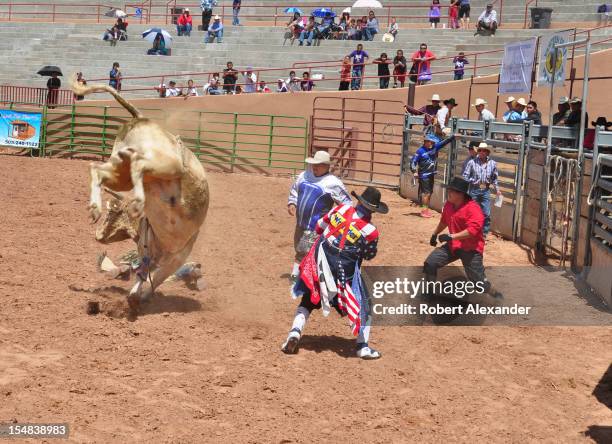 Native Bison Rodeo 339 All Indian Rodeo Stock Photos, High-Res Pictures, and Images ...