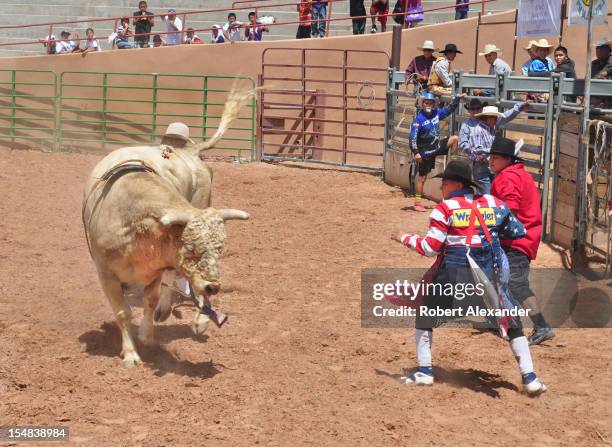 Native Bison Rodeo 339 All Indian Rodeo Stock Photos, High-Res Pictures, and Images ...