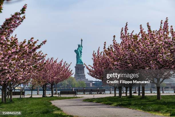 the statue of liberty - liberty state park stock-fotos und bilder