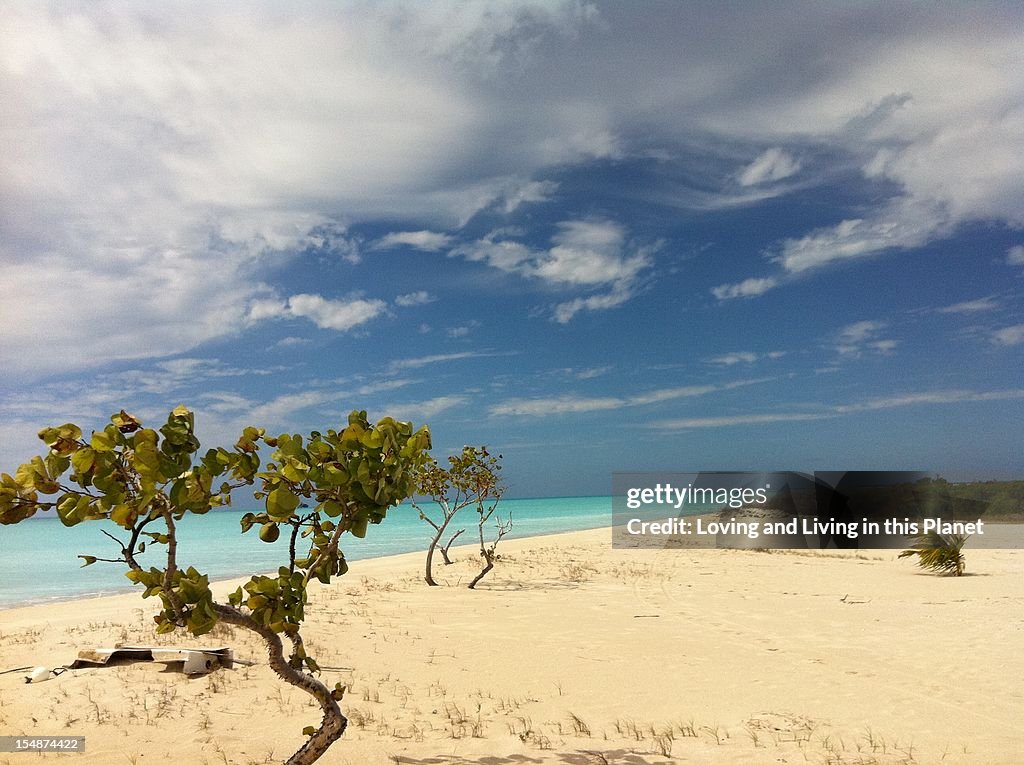 Barbuda island