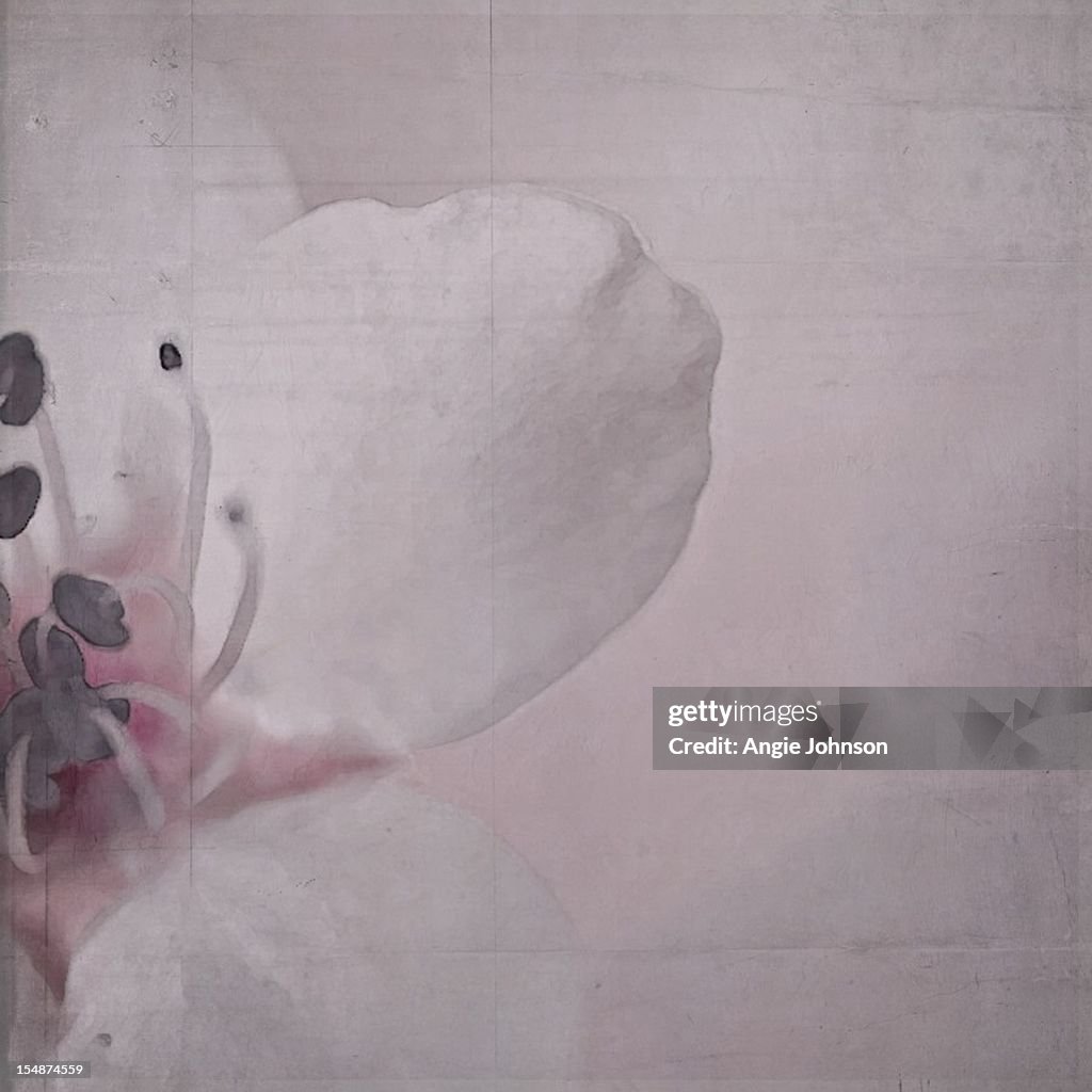 Pink flower