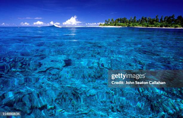 maldives, laamu atoll, coral reef. - atoll stock pictures, royalty-free photos & images