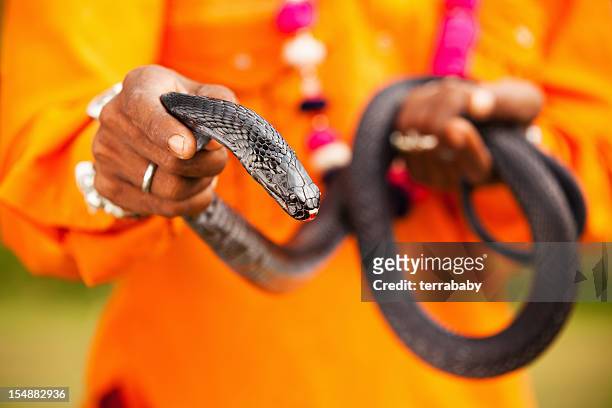 indian cobra snake charmer - cobra stock pictures, royalty-free photos & images
