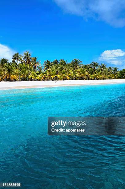 einsamen tropischen insel in der karibik - cay insel stock-fotos und bilder