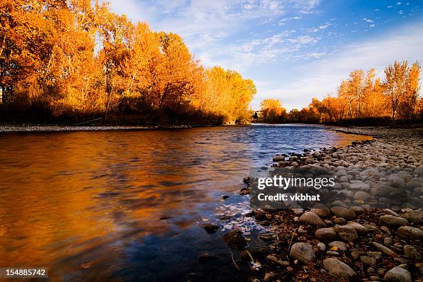 boise river herbst - idaho stock-fotos und bilder