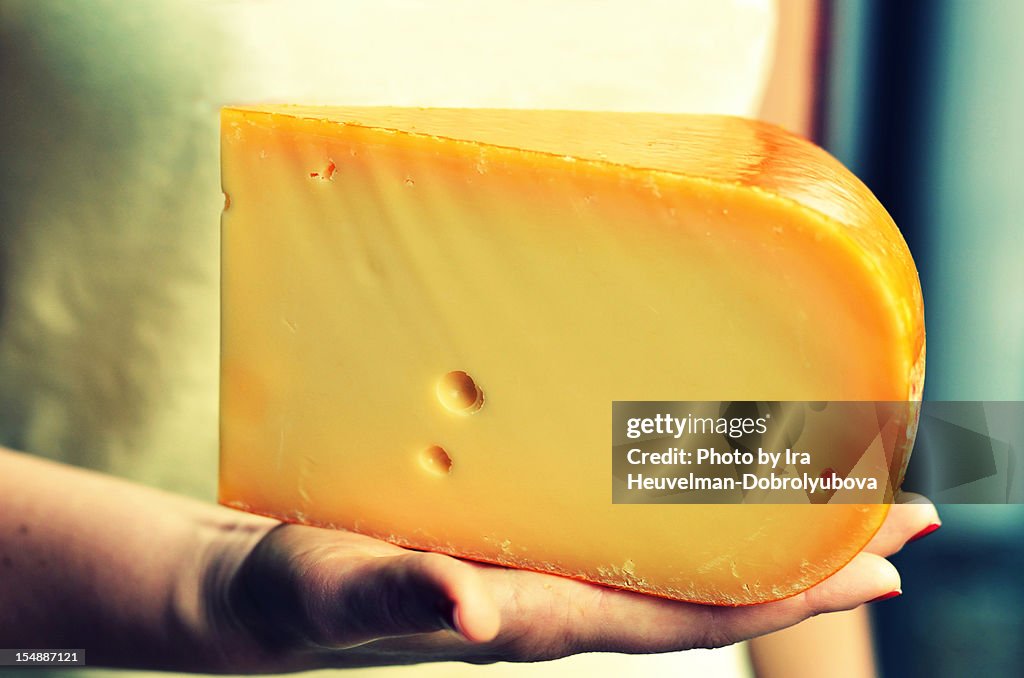 Dutch cheese