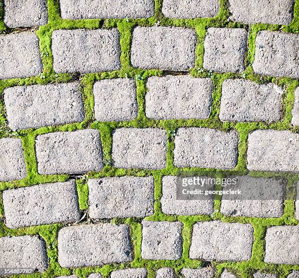 moss cobble pattern - cobblestone pathway stock pictures, royalty-free photos & images