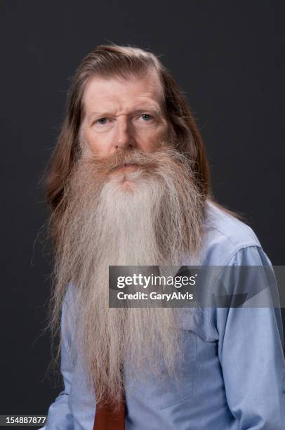 bearded man - long beard stock pictures, royalty-free photos & images