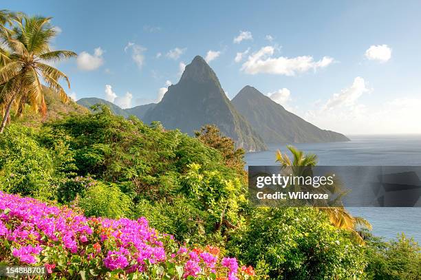 st. lucia's twin pitons at sunrise - saint lucia stock pictures, royalty-free photos & images