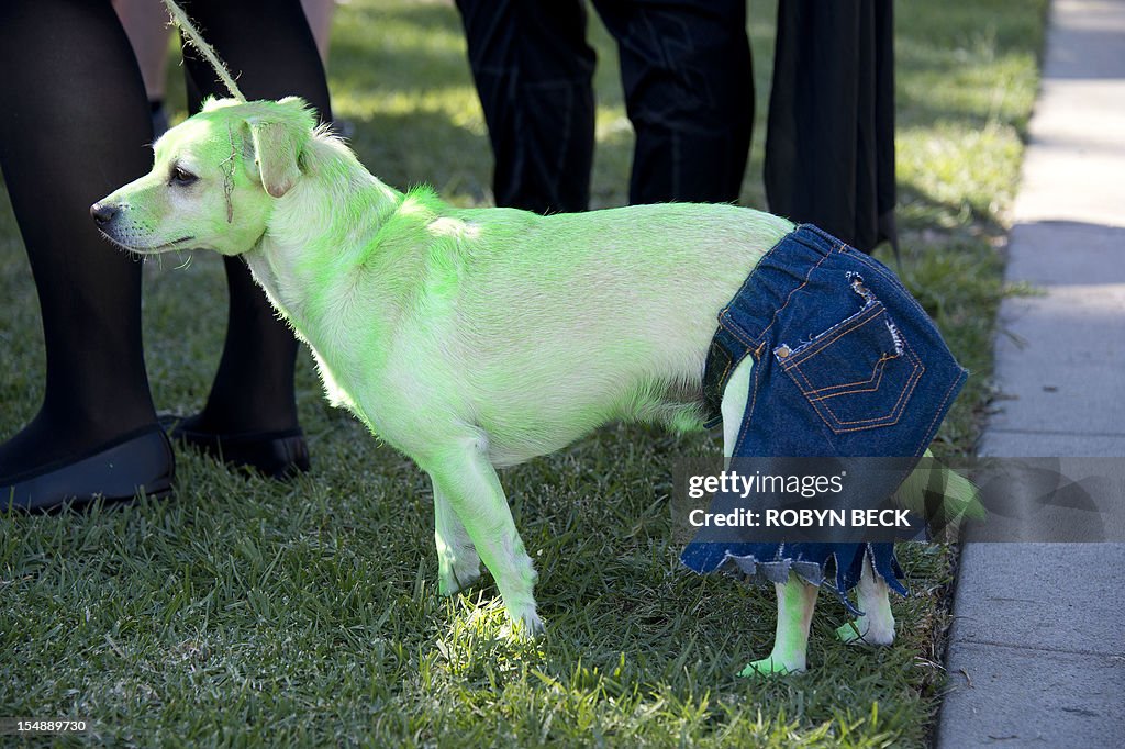 US-HALLOWEEN-DOG-COSTUMES