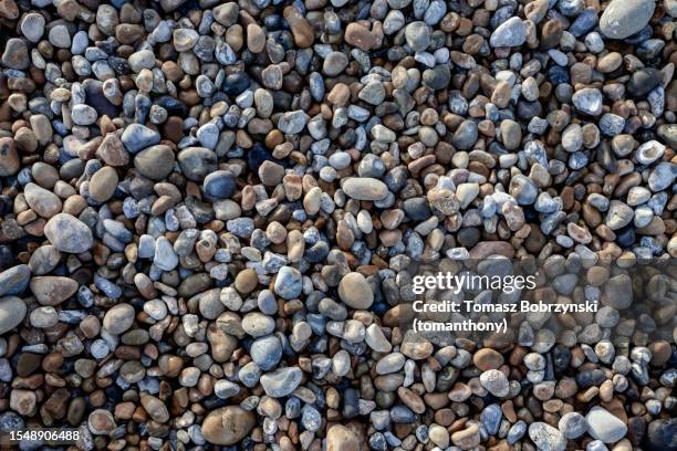 diverse texture: pebbles on shingle beach - tides stock pictures, royalty-free photos & images