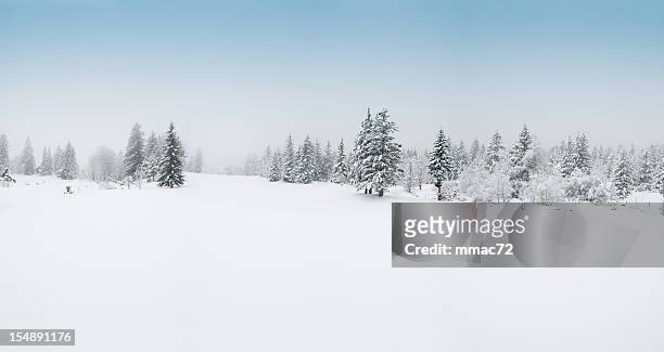 winterlandschaft mit schnee und bäume - schnee stock-fotos und bilder