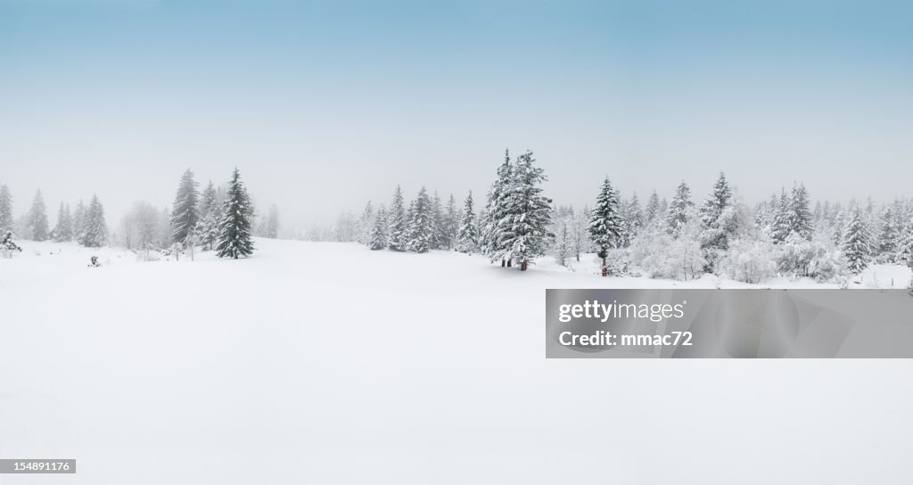 Paesaggio invernale con la neve e gli alberi