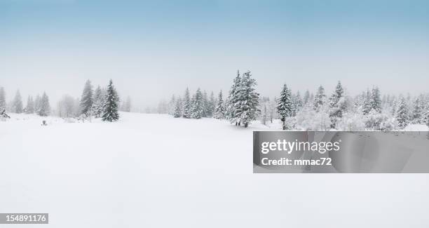 winter landscape with snow and trees - snow hill stock pictures, royalty-free photos & images