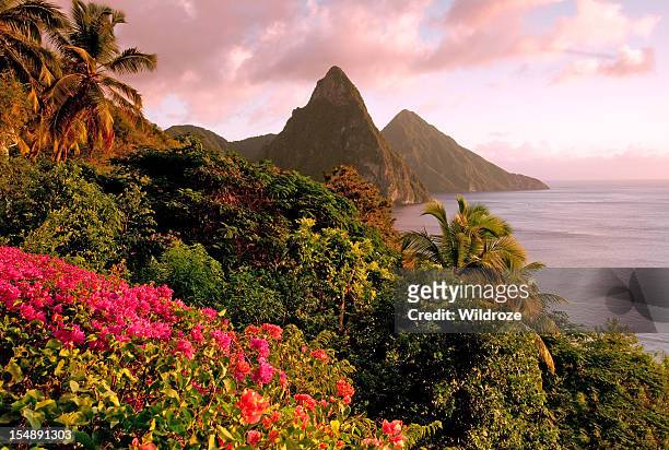 st. lucia's twin pitons at sunset - saint lucia stock pictures, royalty-free photos & images