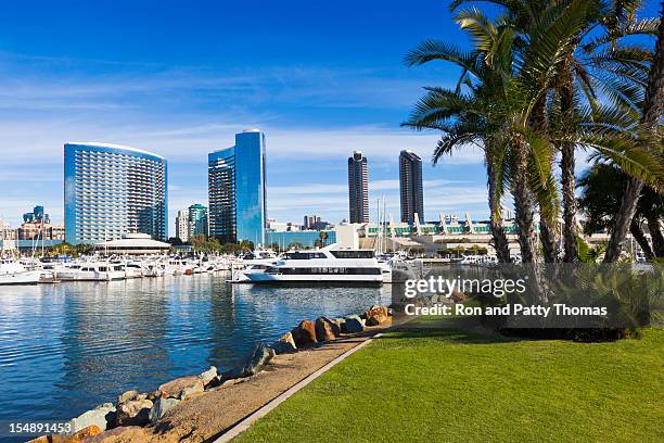 a scenic view of the san diego skyline in california - san diego skyline stock pictures, royalty-free photos & images