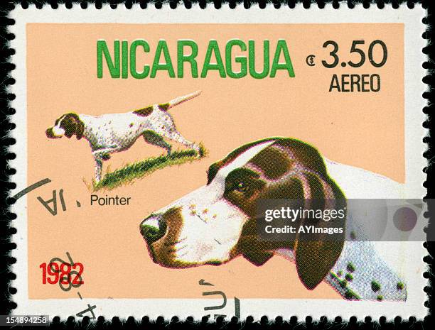 postage stamp from nicaragua - 1982 stock pictures, royalty-free photos & images