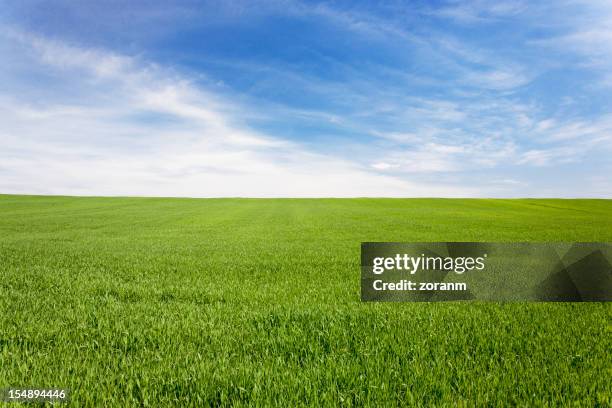 pradera y cielo - horizon fotografías e imágenes de stock