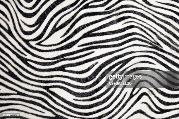 zebra background - animal markings stock pictures, royalty-free photos & images