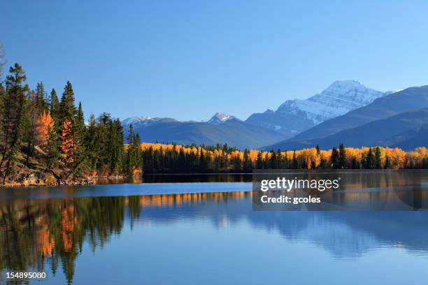 jasper wilderness - jasper national park stock pictures, royalty-free photos & images