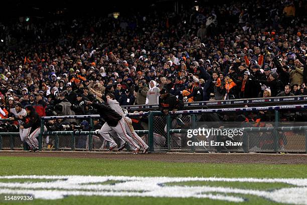 The San Francisco Giants runout of the dugout to celebrate after defeating the Detroit Tigers to win Game Four of the Major League Baseball World...