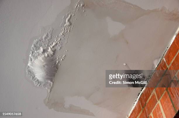 paint blister, fungal mold and water staining damage on the eaves of a house caused by heavy rain - leaky roof stock pictures, royalty-free photos & images