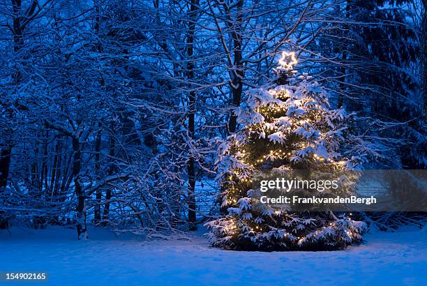 weihnachtsbaum mit lichter in den schnee - weihnachtsbaum stock-fotos und bilder