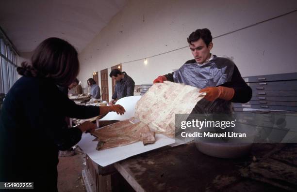 Florence, November 1966, the night of 3 to 4 November 1966, a flood of mud vehicle by the flood of the Arno river and escaped oil cellars, causing...