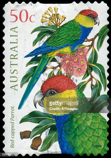 postage stamp from australia - postage stamp stock pictures, royalty-free photos & images