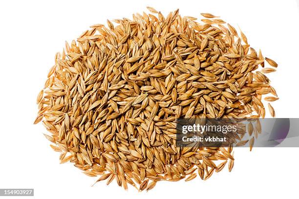 barley - barley stockfoto's en -beelden
