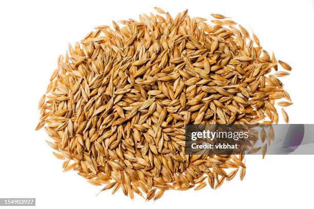 barley - barley stock pictures, royalty-free photos & images