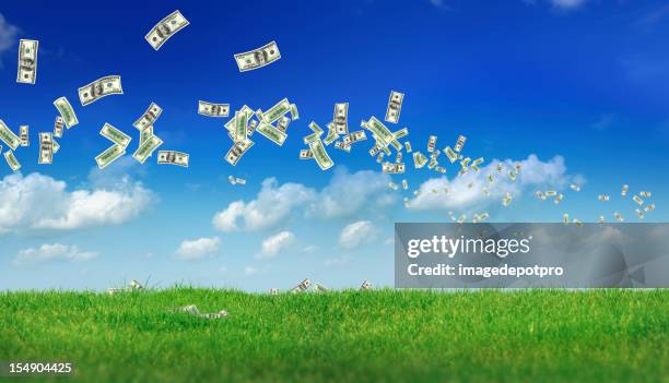 flying money over landscape - disney dollars stock pictures, royalty-free photos & images