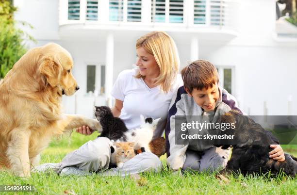 mãe, filho e animais de estimação. - feline imagens e fotografias de stock